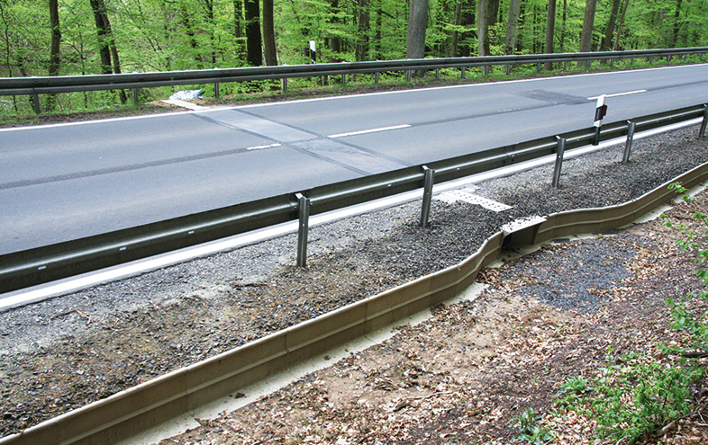 Grön skog bakom väg och grodskyddsbarriär och tunnel.